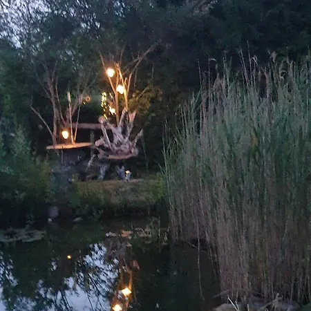 Traum Im Pferdewagen Fuer Durchreise * 키텐도르프